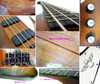 gibson thunderbird 3.jpg